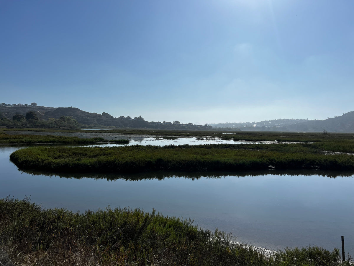 Pages Restoring Places: The San Elijo Lagoon